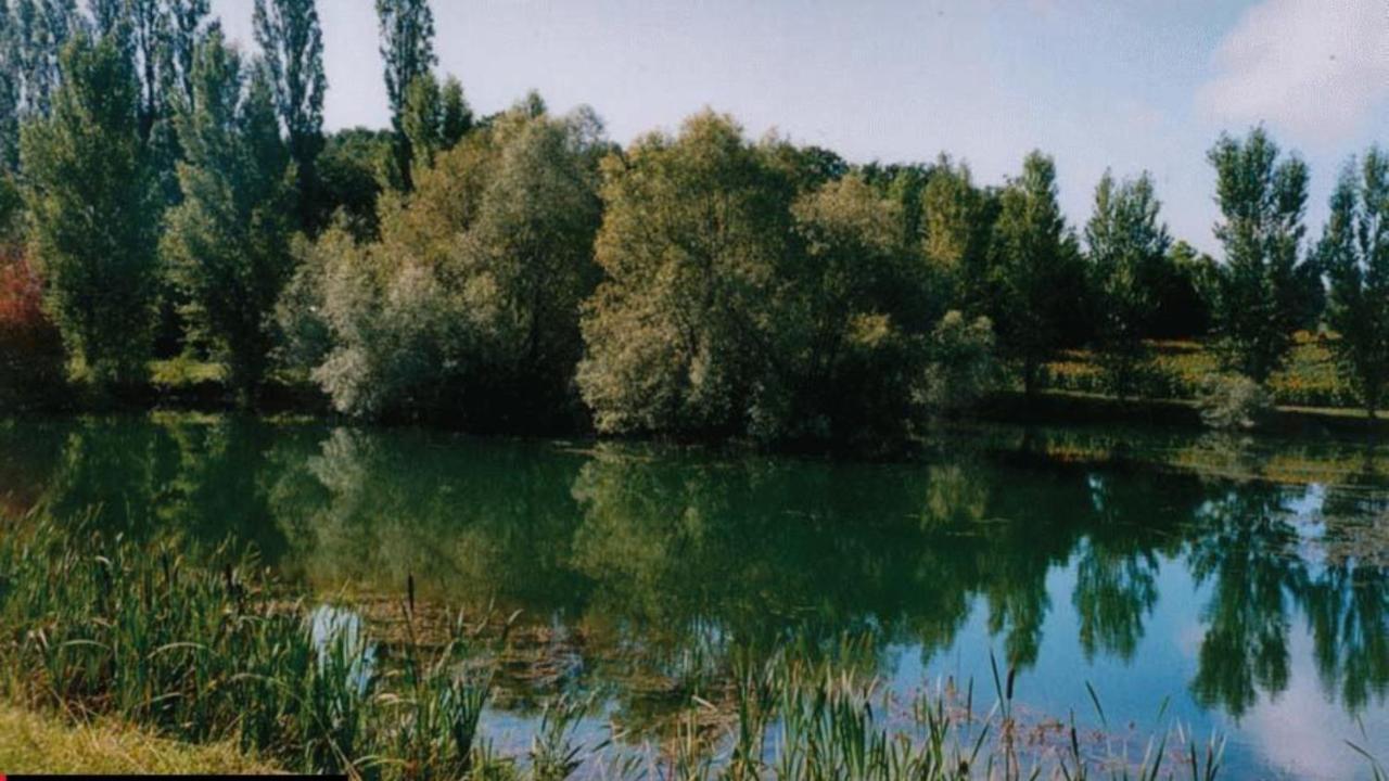 La Decouverte, Jacuzzi, Sauna, Et Terrasse Avec Vue Sur Lac A La Campagne Entre Toulouse Et Auch Villa Catonvielle Eksteriør billede