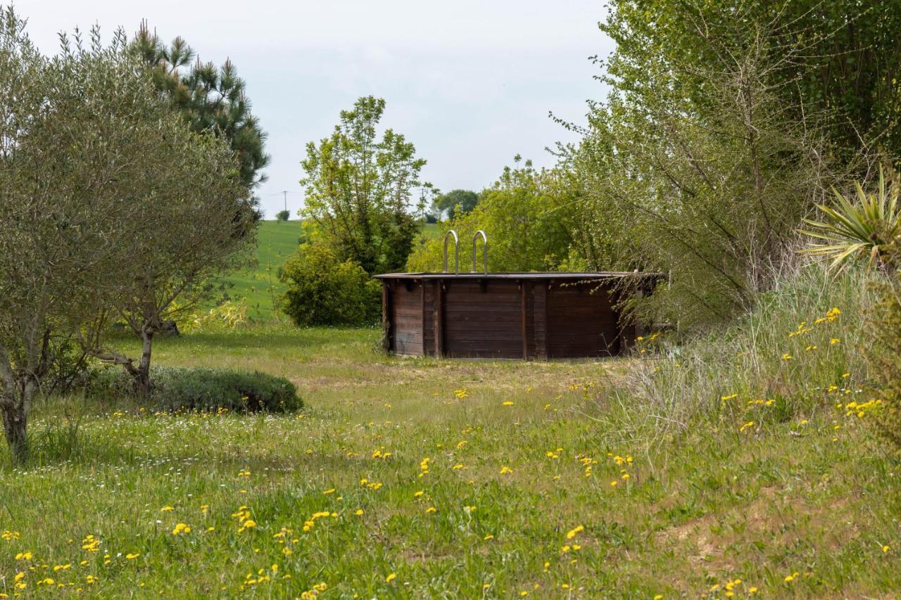 La Decouverte, Jacuzzi, Sauna, Et Terrasse Avec Vue Sur Lac A La Campagne Entre Toulouse Et Auch Villa Catonvielle Eksteriør billede