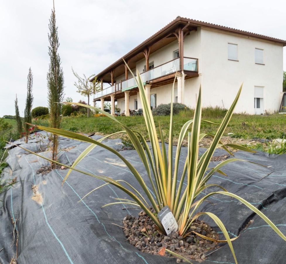 La Decouverte, Jacuzzi, Sauna, Et Terrasse Avec Vue Sur Lac A La Campagne Entre Toulouse Et Auch Villa Catonvielle Eksteriør billede